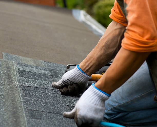 Best Roof Repair Services  in Millville, UT